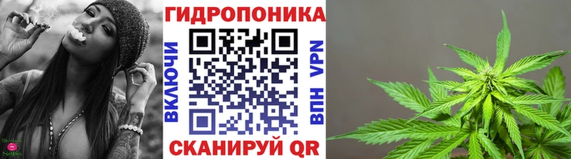 Купить закладку Alpha-PVP Меф Канабис Вышний Волочёк