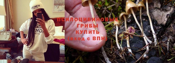 герыч Карпинск