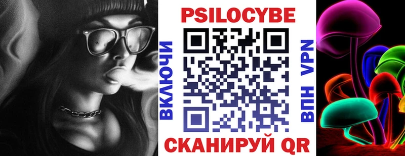 Галлюциногенные грибы Psilocybine cubensis  Купить где  Вышний Волочёк 